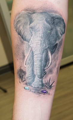 elephant-marching-colour-tattoo-wonderlandstudios